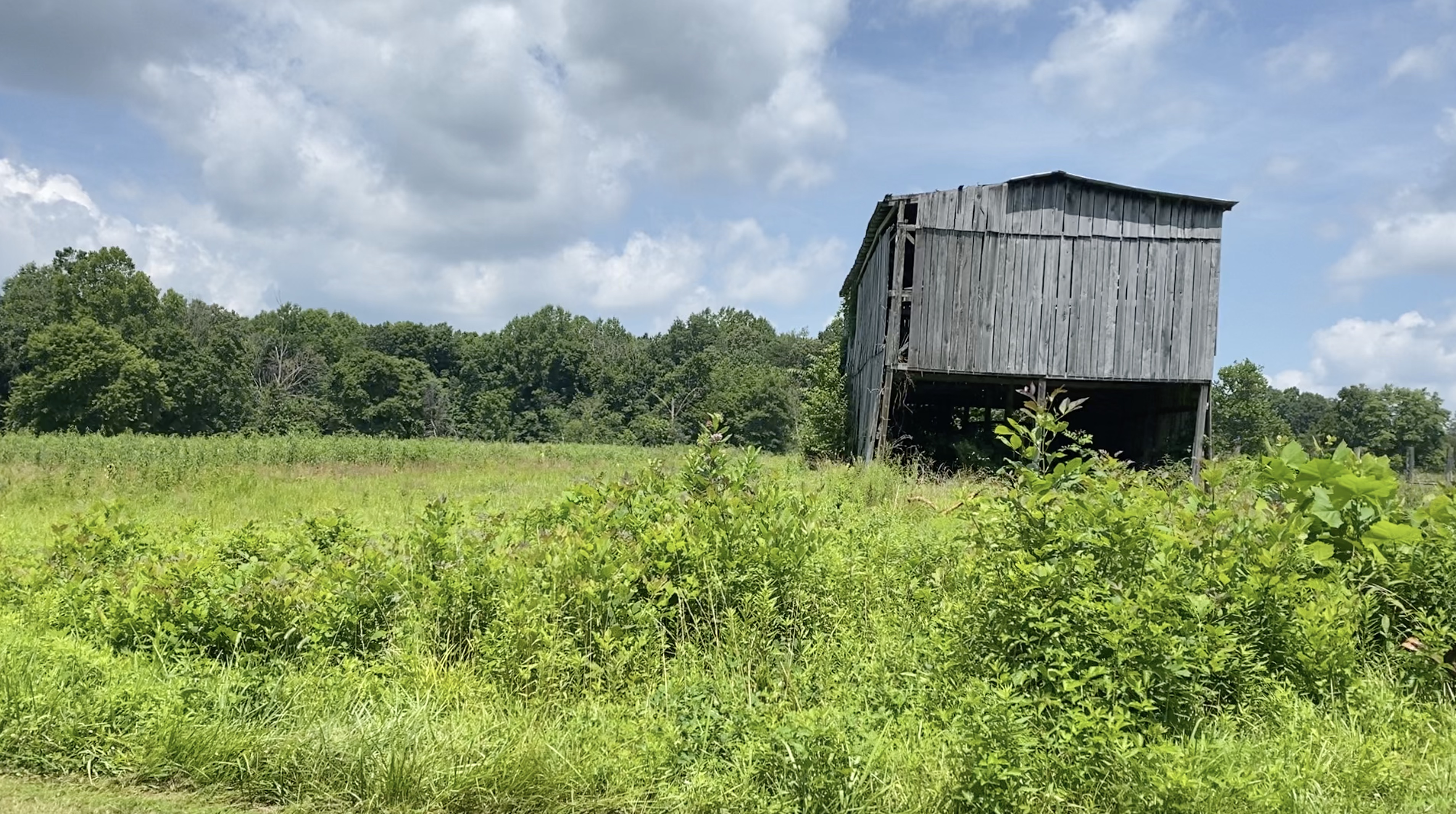 frontofbarn frontofbarn